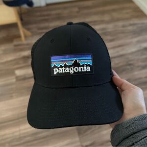 NWOT *Never Worn* Patagonia Trucker Hat